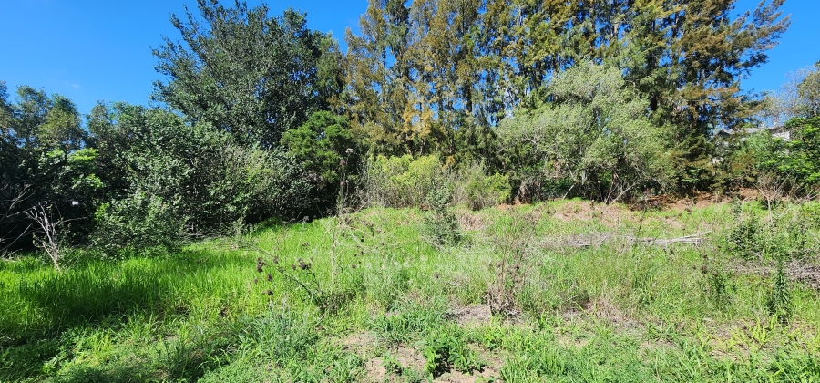 0 Bedroom Property for Sale in Swellendam Western Cape